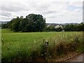 Field, Kingholm Quay