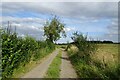 Bridleway north of New Plantation