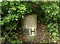 Old Milestone, Old Aston Hill (former A494), Aston