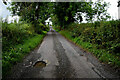 Pothole along Drumskinny Road