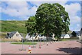 Big tree, Clachan of Campsie