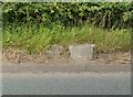 Old Milestone by A494, New Brighton