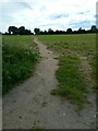 A worn track between Costessey and Marriott