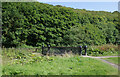 A bridge over Skelton Beck, Saltburn Valley Gardens