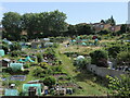 Lantern Bottom allotments