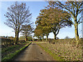 Lane towards Hornton from Wroxton