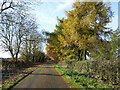 Lane towards Hornton from Wroxton