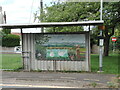 Bus shelter mural