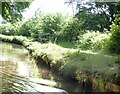 Monmouthshire and Brecon Canal