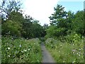 Path on route of former mineral railway