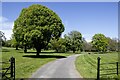 Trees and other restful features of Compton Park, Eastbourne