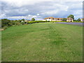 Paddock at Cauldcots Farm