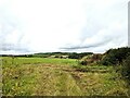 Farmland near St Twynnells