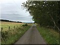 Minor road near Blairmore Farm