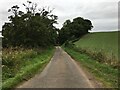 Minor road towards Battledykes