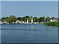 River Bure above Horning