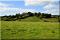 Knocknahorn Townland