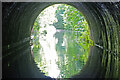 Inside Brandwood Tunnel