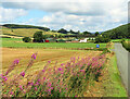 Low Plains Farm view