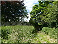 Footpath into Harvington