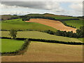 View towards Linton Hill