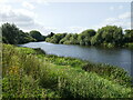 The River Trent at Thrumpton