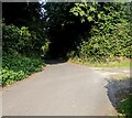 From sunshine to shade, Back Road, Catbrook