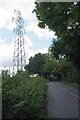 Crown Lane and Pylon