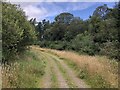 Road, Lamington Park