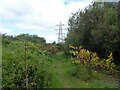 Path to Woodhouse Lane