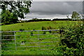 Gate and countryside, Bancran