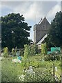 Allotments near St John’s Church