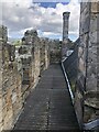 Roof walk, Alloa Tower