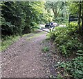 Exit track from Beddick Wood, Monmouthshire