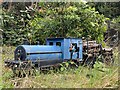 A model railway enthusiast in Glyncorrwg