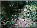 Stone Stile, Aylburton