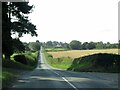 The road to Bishops Wood