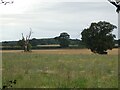 Fields off Wrottesley Park Road