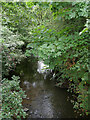 The River Dearne, Dearne Valley Country Park, Barnsley