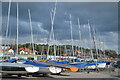 Masts at West Kirby Sailing Club