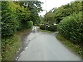 Rural lane junction