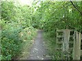 Path in Smestow Valley nature reserve