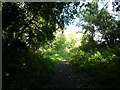 Path in Smestow Valley nature reserve