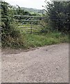 Field gate, Llandenny Walks, Monmouthshire