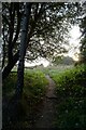 Footpath towards Horsham Road