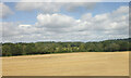 Field and Woods by the Railway