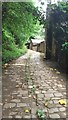 View up Carr Bottom Road