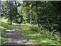 Path, Bantaskine Park