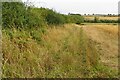 Bridleway towards Greenacres