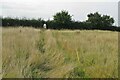 Footpath to Over Worton